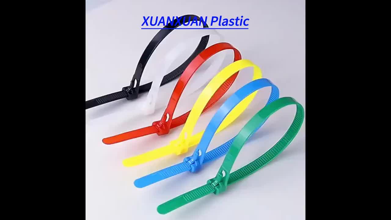 246068_8 246068_8